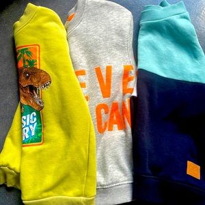 3 H&M sweatshirt US 3/4T